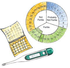 Menstrual Cycle Safe Unsafe Days Chart